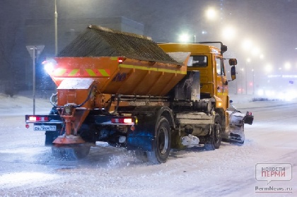 Борьба с гололедом по-пермски, или какие последствия от реагентов ждут горожан