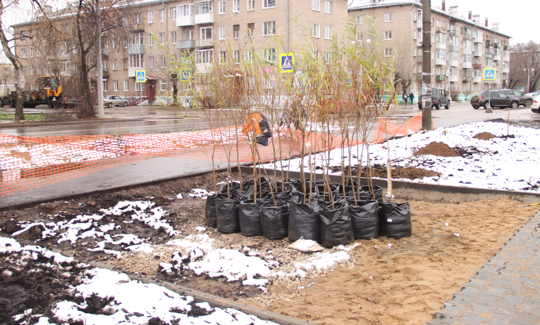 В Краснокамске появилась «Аллея УЗПМ», рис. 2