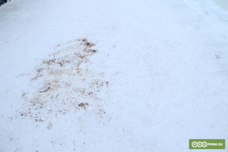 Лабораторная работа Properm.ru. От каких реагентов на дорогах Перми появляется грязь?, рис. 6