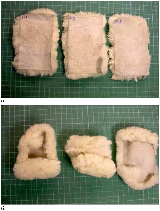 Муравьи, грызущие лед